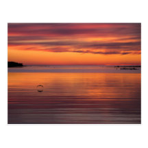 Sunset by the sea, Finland CC0157 Postcard