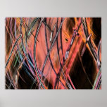 Sunset Colours Print