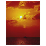 Sunset, Cozumel, Mexico Flyers