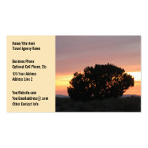 Sunset Desert Photo Travel Agents Business Card