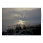 Sunset Dune Grass IBSP Note Card