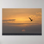 Sunset Fishing Poster