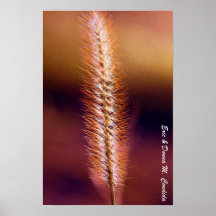 Sunset Grass Print