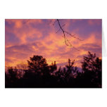 Sunset Greeting Card
