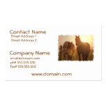 Sunset Horses  Business Card