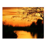 Sunset in az in orange and black postcard