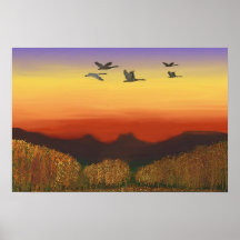 Sunset in Desert Poster