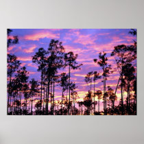 Sunset in Everglades National Park, Florida, U.S.A Poster
