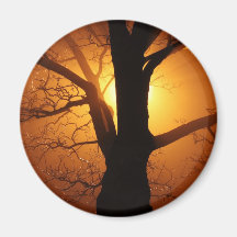 Sunset in Fog Magnet