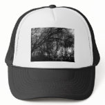 Sunset in Forest hats
