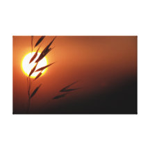 Sunset in Ibiza Gallery Wrapped Canvas