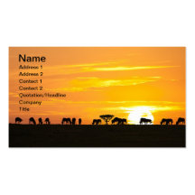 Sunset in Serengeti Business Card