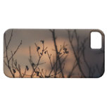 Sunset in the Background iPhone 5 Covers