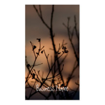 Sunset in the Background; Promotional Business Card