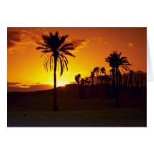 Sunset in the desert, The Sahara, Tunisia Desert Greeting Cards