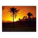 Sunset in the desert, The Sahara, Tunisia Desert Post Cards