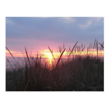 Sunset Lake Michigan Postcard