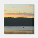 Sunset Magnet