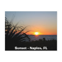 Sunset - Naples, FL Post Card