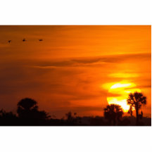 Sunset on Fire Photo Sculptures
