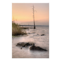 Sunset on Louisiana's Swamps Photo Art