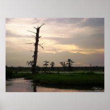Sunset on the Bayou Print
