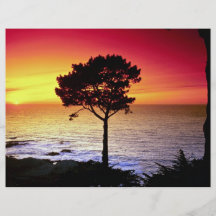 Sunset on the famous Monterey Peninsula, Monterey, Full Colour Flyer