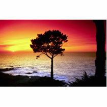 Sunset on the famous Monterey Peninsula, Monterey, Acrylic Cut Outs