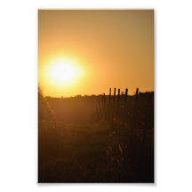Sunset On The Farm Art Photo