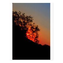 Sunset on the hills of Texas Postcards