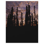 Sunset on the Innoko National Wildlife Refuge Custom Flyer