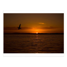 Sunset Over Burra Isle Postcard