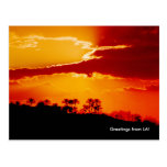 Sunset over Los Angeles California Postcard