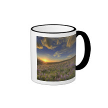 Sunset over the Bitterroot Mountains and vast Mug
