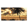 Sunset Palm Photo Card