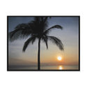 sunset palm postcards