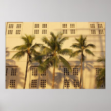 Sunset Palms Print