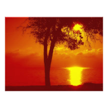 sunset photo art