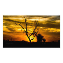 Sunset Photographic Print