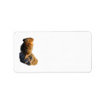 Sunset Pika Labels