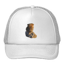Sunset Pika Mesh Hat