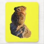 Sunset Pika Mousepads