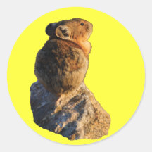 Sunset Pika Round Stickers