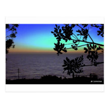 sunset postcard