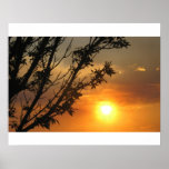 Sunset Posters