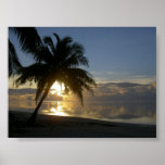 Sunset Print
