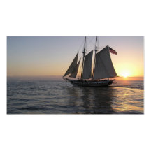 Sunset Sail Business Card