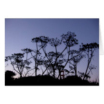 Sunset - San Francisco Card