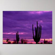 Sunset, Scottsdale, Arizona Posters