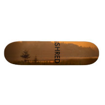 sunset shred skate board decks